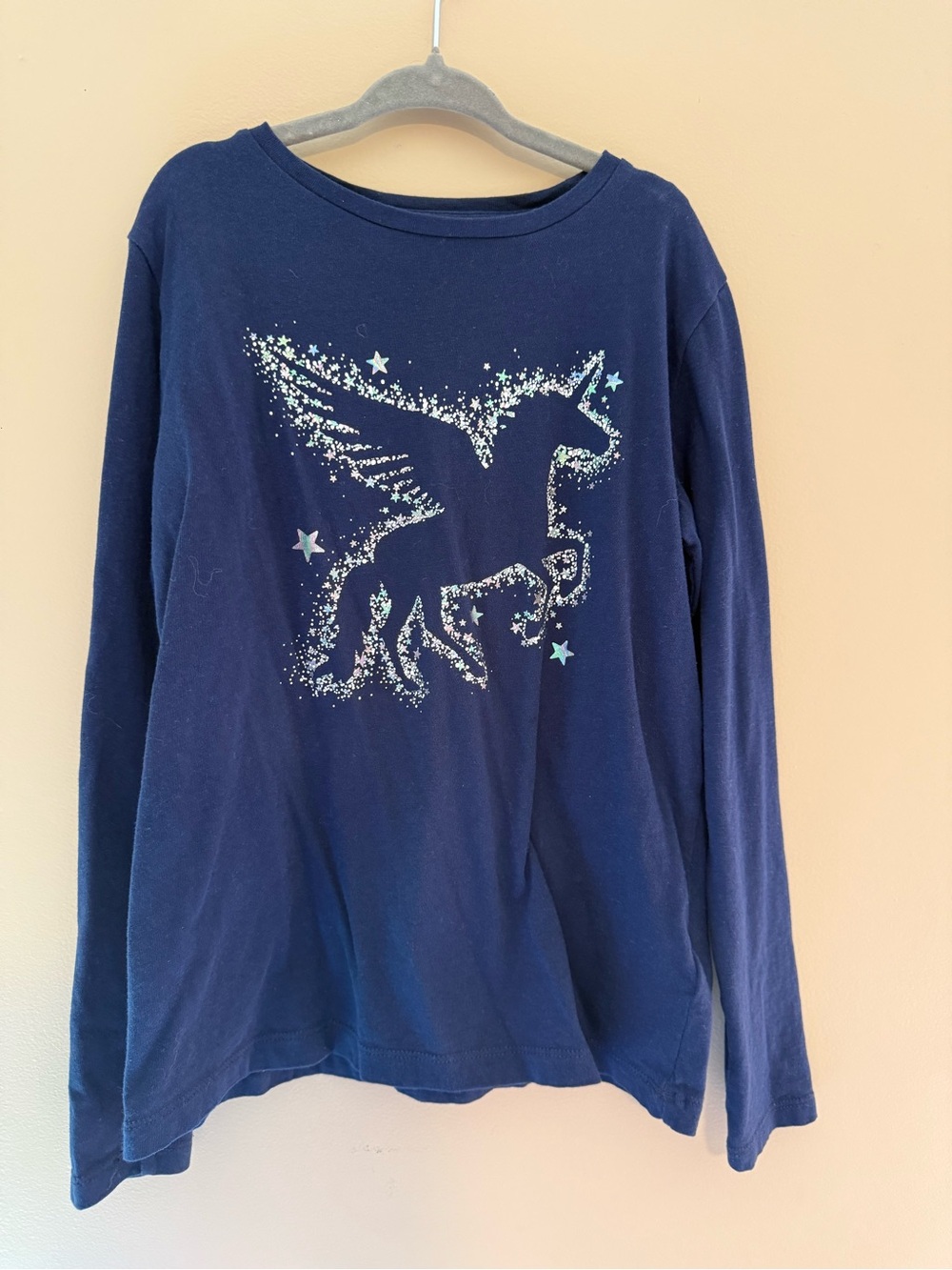 Crewcuts Navy Blue Pegasus Star Long-Sleeve Tee